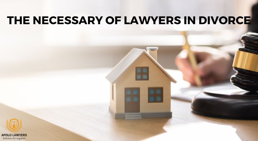 Dich-vu-luat-su-Apolo-Lawyers