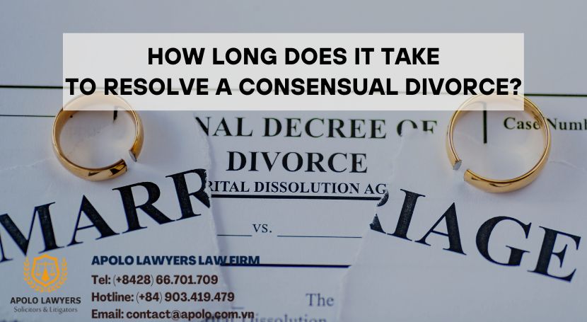 dich-vu-luat-su-apolo-lawyers