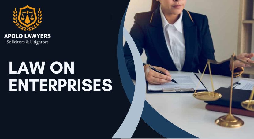 Navigating the Importance of a Legal Representative of Enterprise in ...