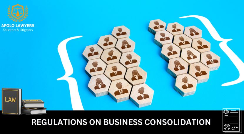 Regulations On Business Consolidation - 01