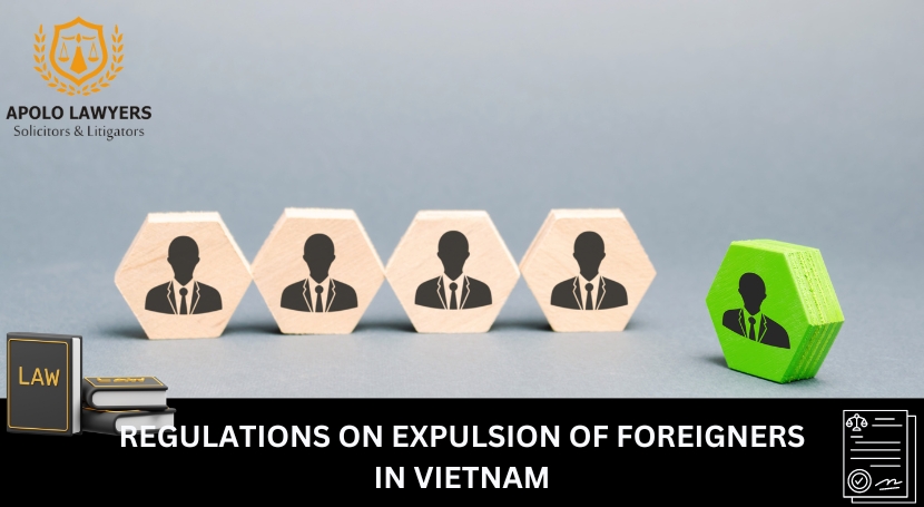 Regulations - on - expulsion - of - foreigners - in - Vietnam - 01