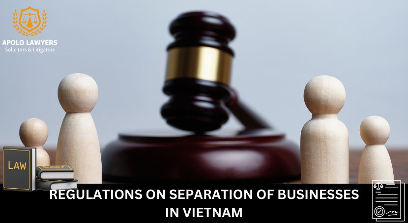 Regulations On Separation Of Businesses In Vietnam - 01