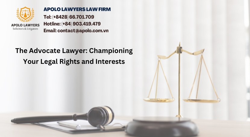 The Advocate Lawyer: Championing Your Legal Rights and Interests - 03