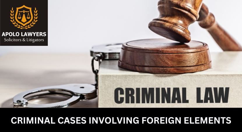 criminal - cases - involving - foreign - elements - 01